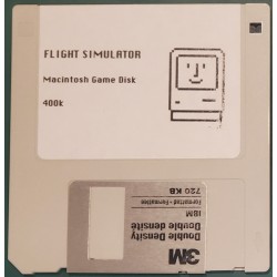 Flight Simulator (400k)